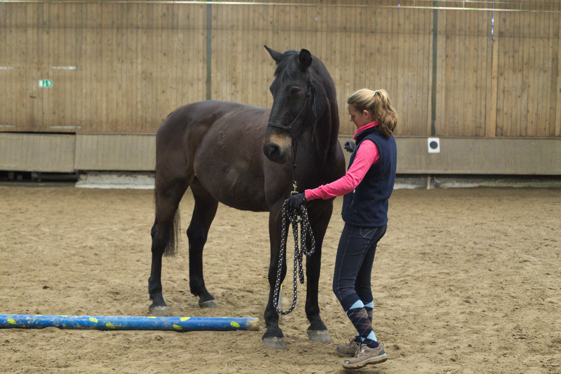 Horsemanship-Training