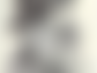 From Female to Male- the life of Jack Bee Garland by Lou Sullivan