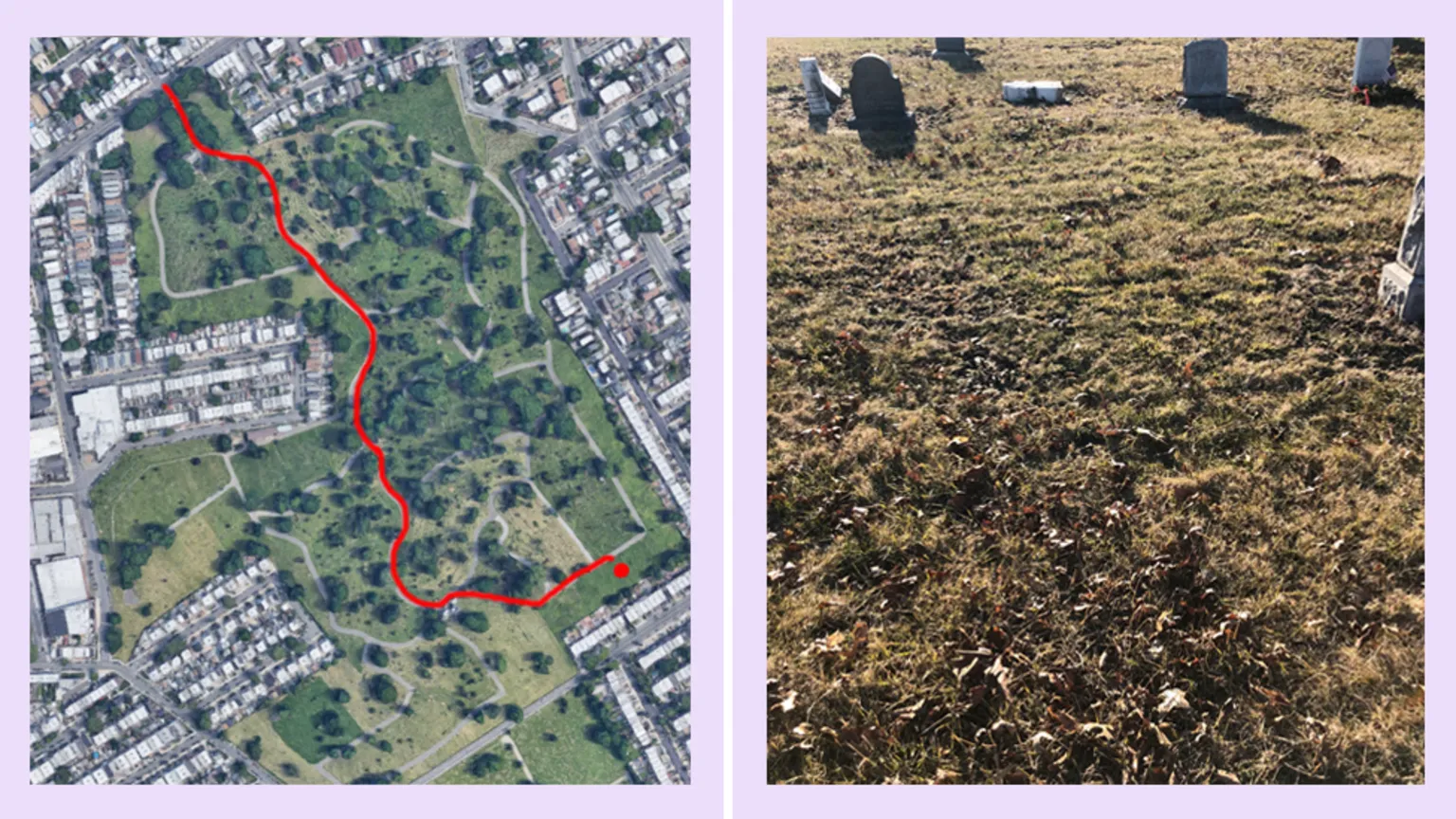 Hall's unmarked grave in Queens. From the BBC.