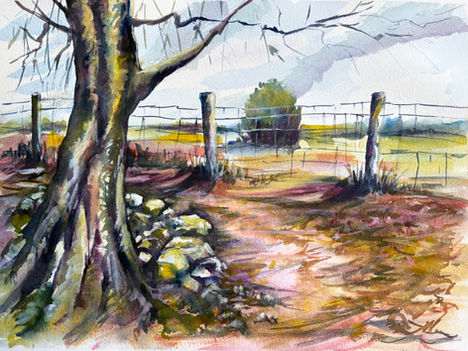 Winter walk in Eccup