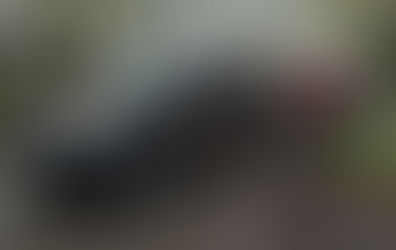 Horse Trailer with Horses.