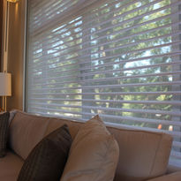 double vision (6).jpeg