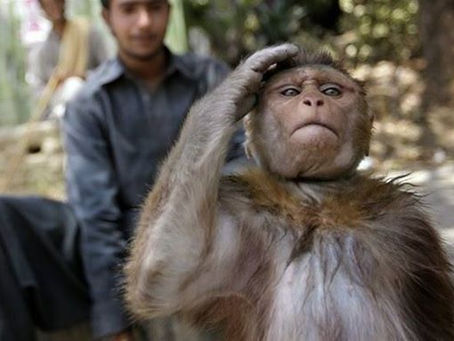 Black Pants jangan sentuh! TMJ kata itu traditional attire of Johor Royalty. Let me story you why!