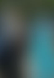 Who Let The Dogs Out?