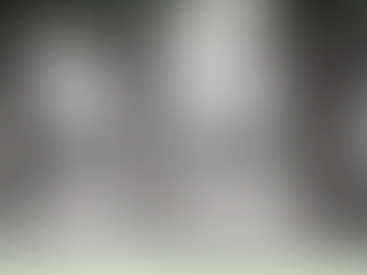 Palestin as you have never seen it before!