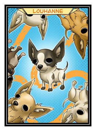 Chien(1).jpg