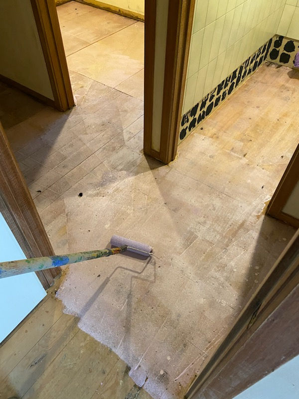 Applying Purple Primer
