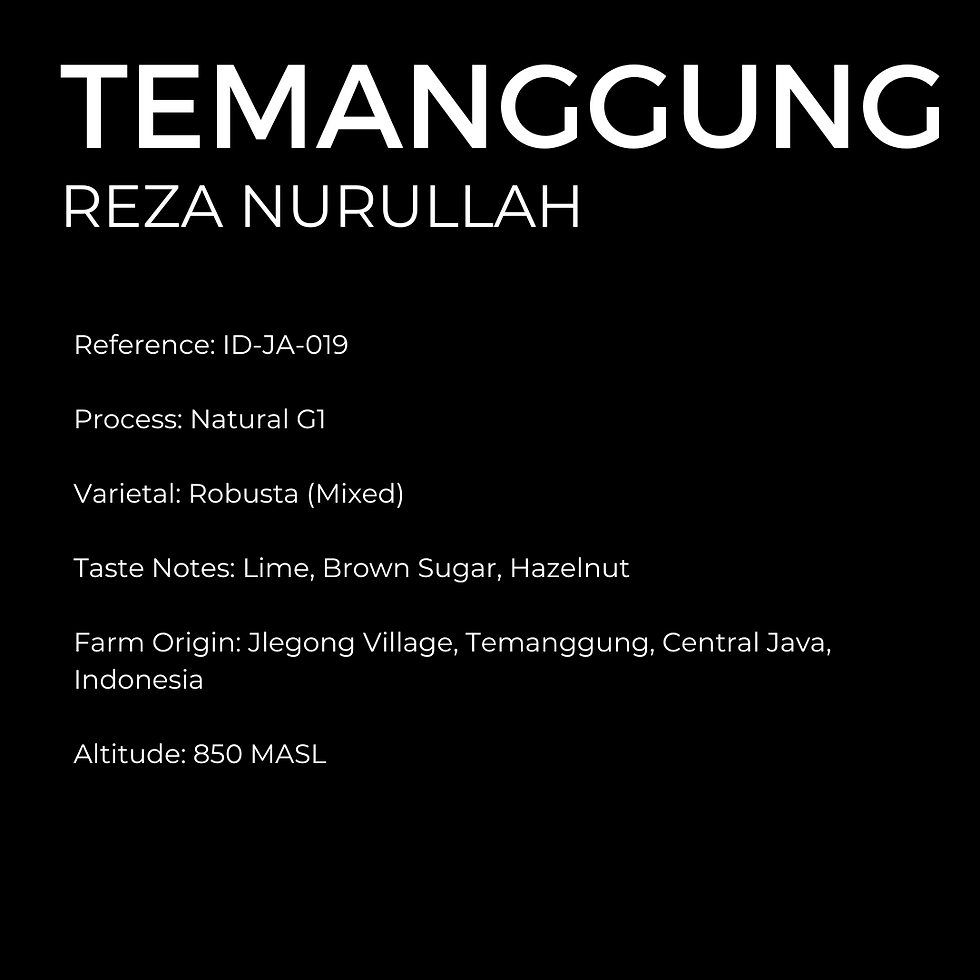 Thumbnail: Temanggung — Natural Robusta G1