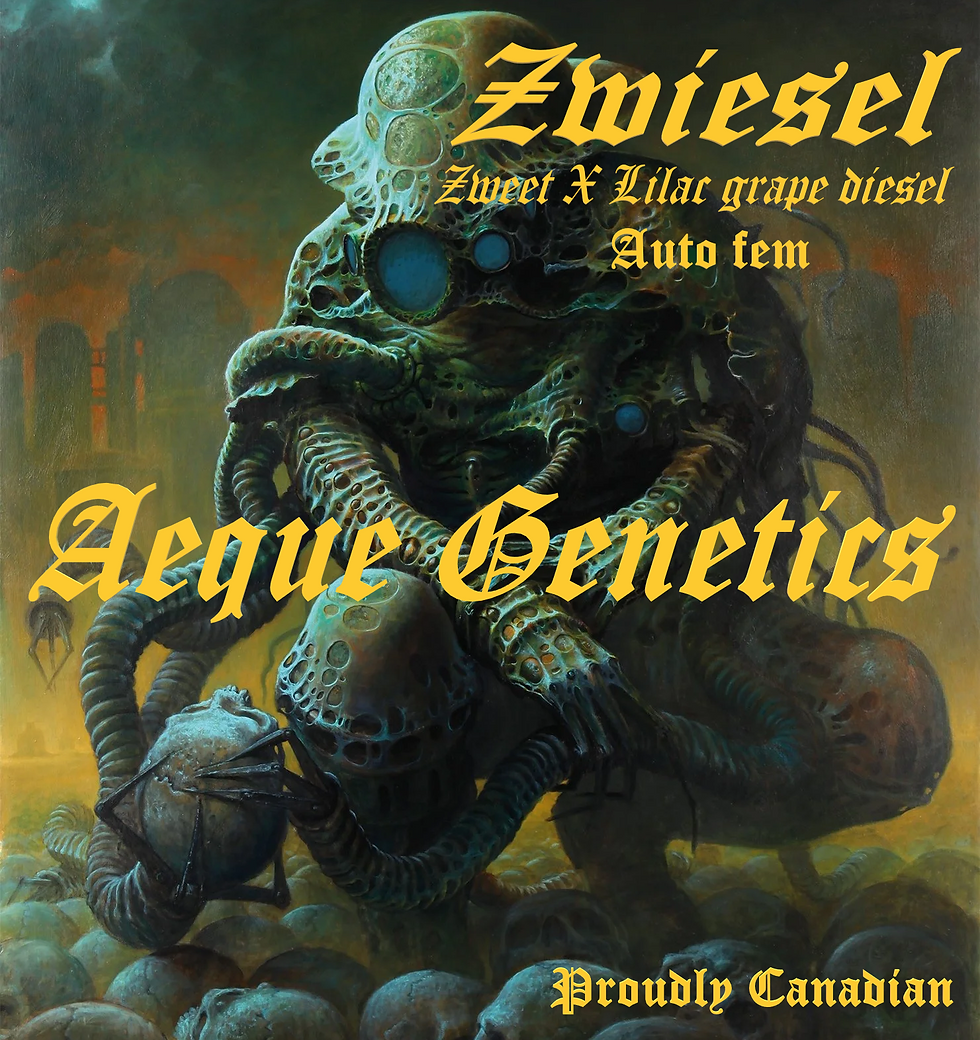 Zwiesel Auto Fem