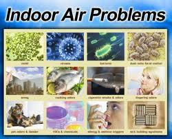 Mold and Air Inspection