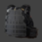 Thumbnail: ADAPTIVE PLATE CARRIER 2.0 BK