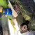 Thumbnail: Kualoa