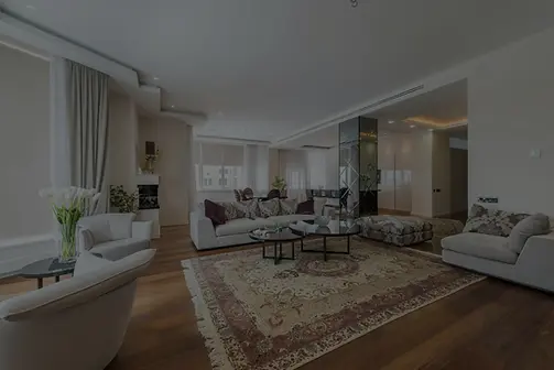Living room with large sofa and rug