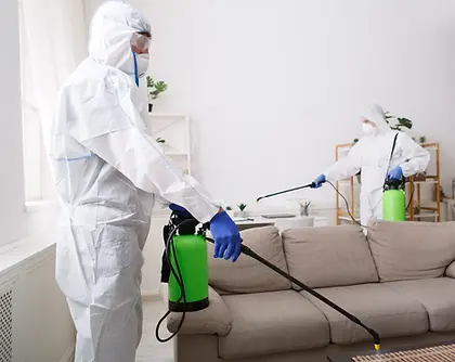 people-in-hazmats-making-disinfection-in-flat-2025-03-18-17-20-25-utc.webp