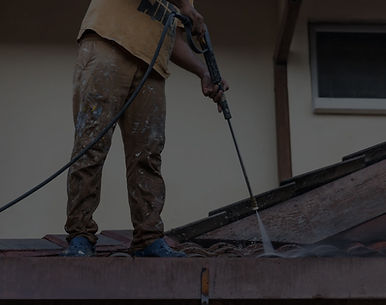 Roof Cleaning_edited.jpg