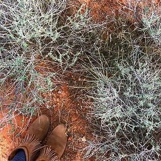 57198824_10102503347883080_1747538754412