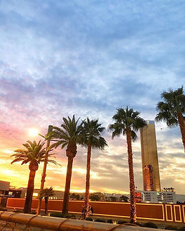 TODAY, I am dreaming of palm trees! Thro