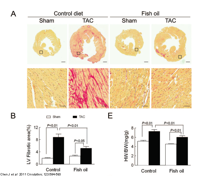 Chen-2010-Fig-2.gif