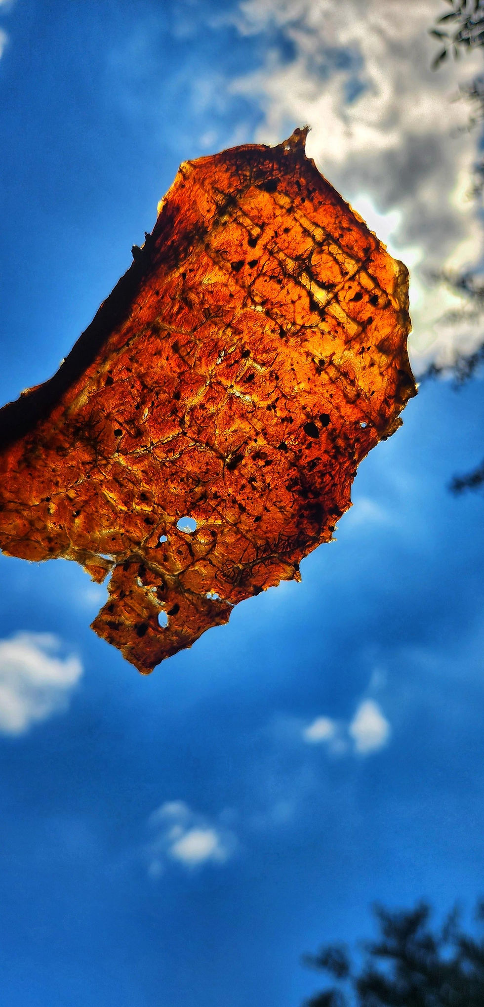 Thumbnail: Mesquite Creek Jerky Co. - Steakhouse