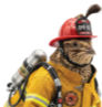 June 13th FireSmart Community Clean-Up