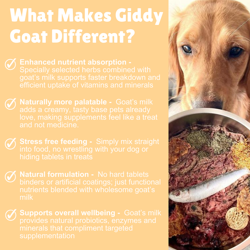 Thumbnail: Giddy Goat Skin & Fur Blend - Trade