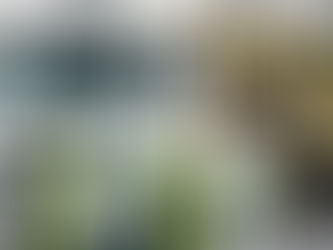 Cotización en minutos con ERA