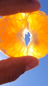 20190809_091918_edited.jpg