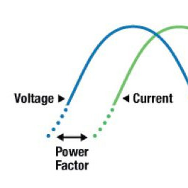 WhatsApp Image 2025-10-16 at 14.04.20.jpeg