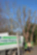 Tree surgeon in southeast or england