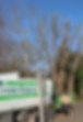 Tree surgeon in southeast or england