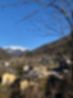 IMG_9721.jpeg