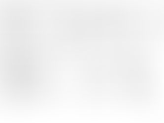 Susie Wiles' private ventures