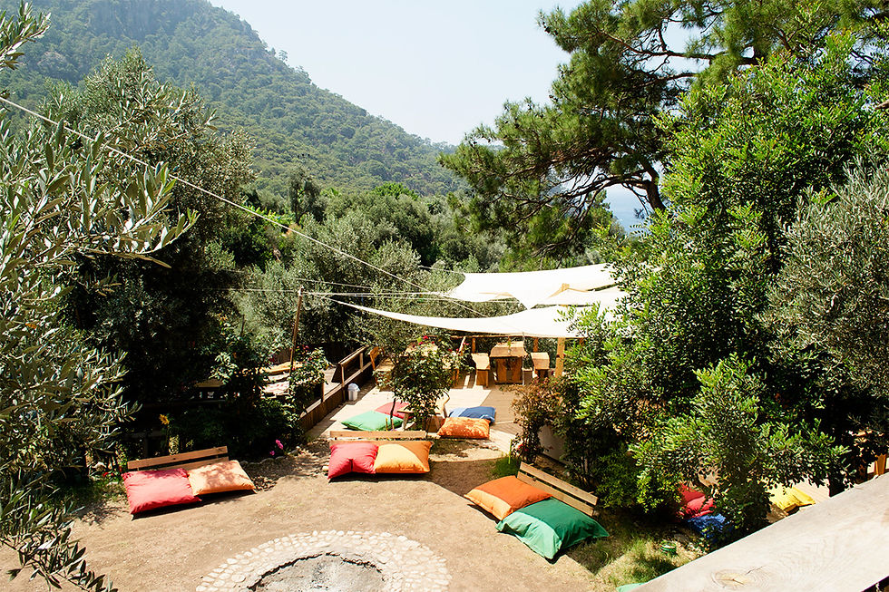 kabak4