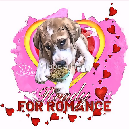 Style Dog Charity Marketing Projekt. Neues Design: "Ready for Romance" – Sam, der süße Kangalwelpe, sucht sein Glück 