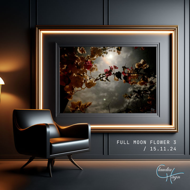 Full moon flowers - Unbearbeitete Fotografie bei Vollmond von Claudia Hagn