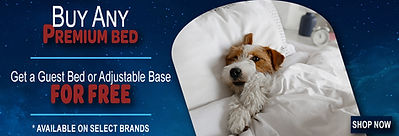 Premium_Bed_Promo_Update.jpg