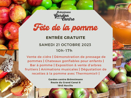 Fête de la pomme à Noville