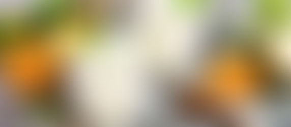 La meilleure margarita au monde - avec Thermomix®