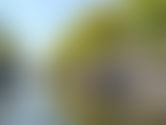 Canals, Cuisine, and Robots: A Fascinating Amsterdam Adventure