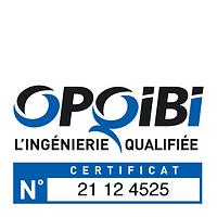 OPQIBI