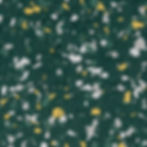 FB-982_GREEN-AND-GOLD_1.4