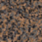 FB-974_QUAIL_1.4