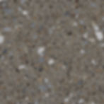 FB-4109_MUDSTONE