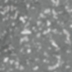 FB-913_SHADOW_1.4
