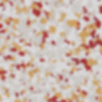 FB-253_GOLD RUSH_1.4
