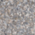 FB-6002_SYCAMORE_1.4