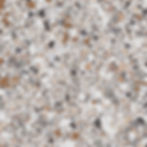FB-4110_CLAYSTONE