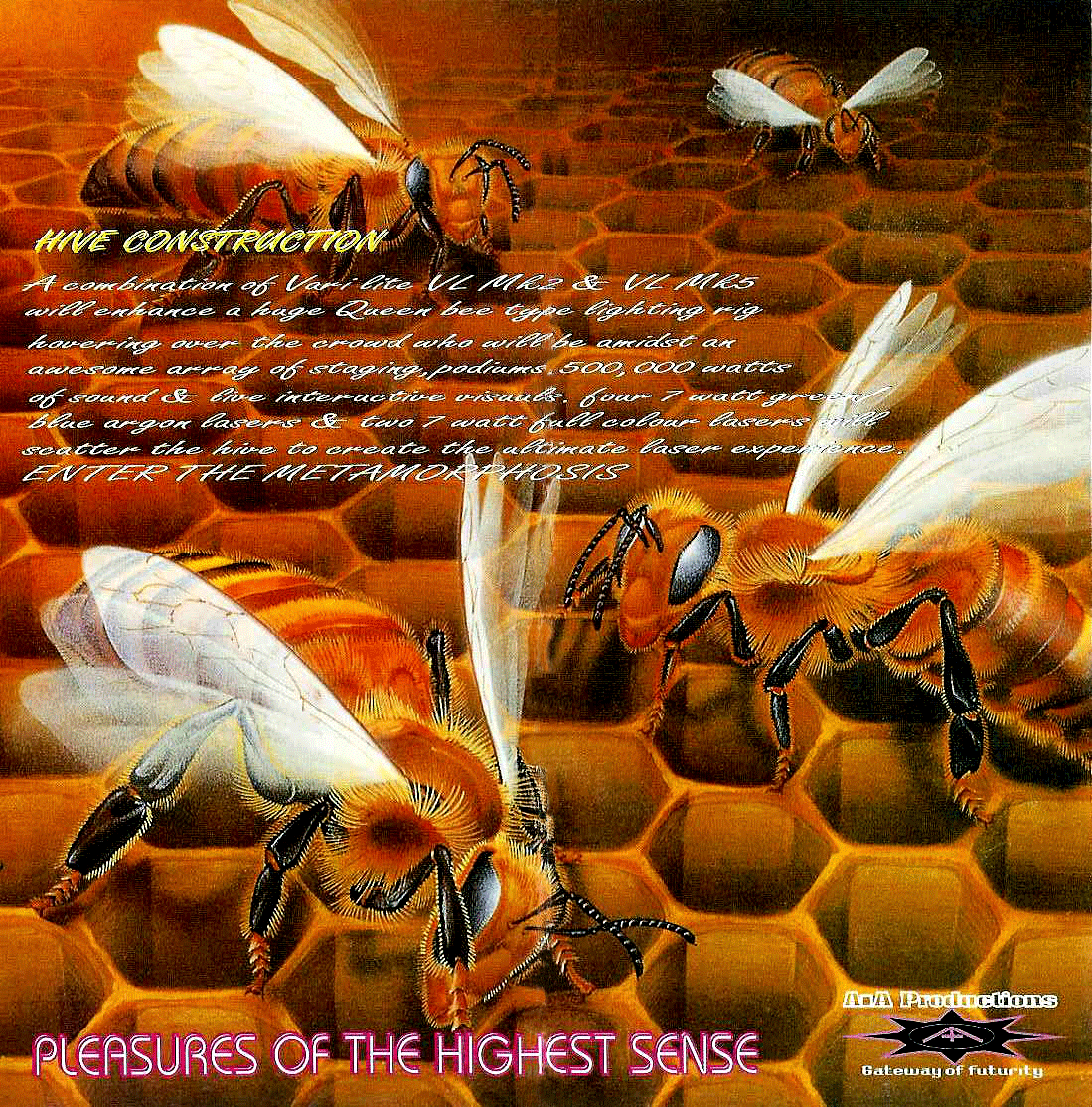 Prodigy 5 the Beehive