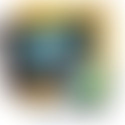 12 DE NOVEMBRO - DIA DO DIRETOR ESCOLAR