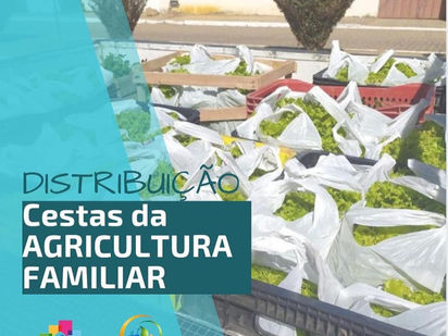 DISTRIBUIÇÃO DE CESTAS DA AGRICULTURA FAMILIAR
